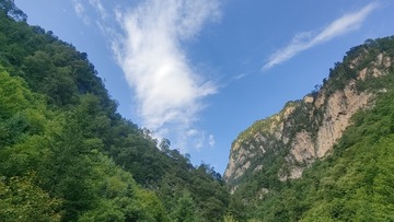 1000068351