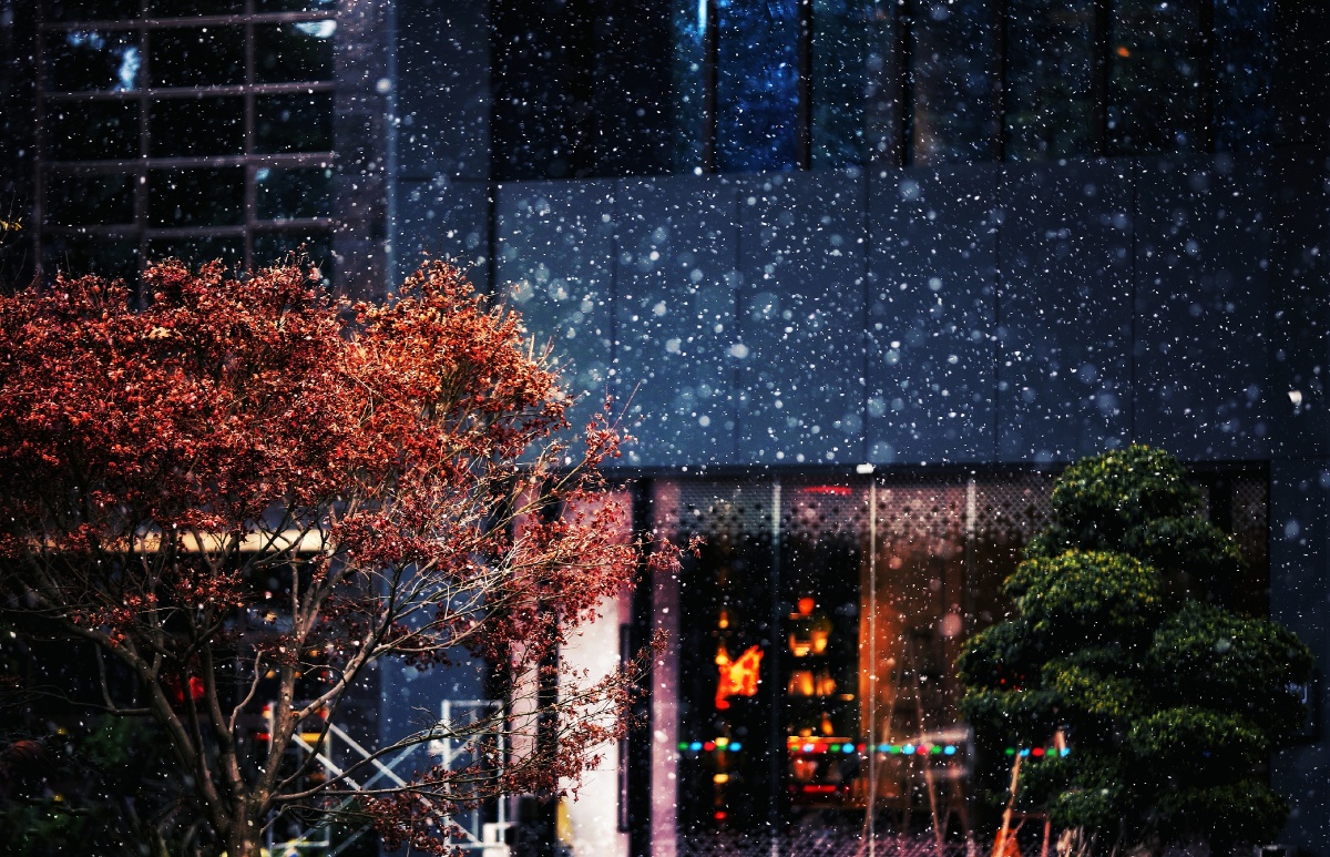 新年伊始成都下雪啦