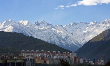 IMG_2149.jpg