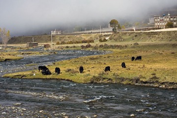 IMG_2218.jpg