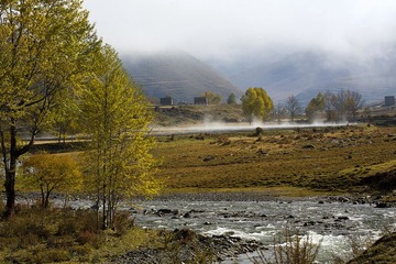 IMG_2221.jpg