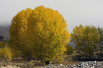 IMG_2243.jpg