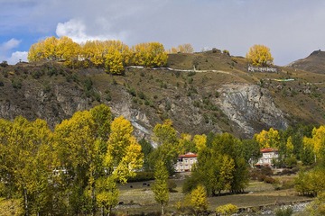 IMG_2261.jpg