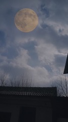 1745181