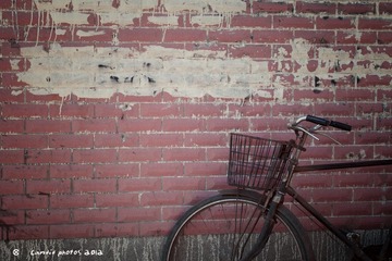 IMG_3283.jpg