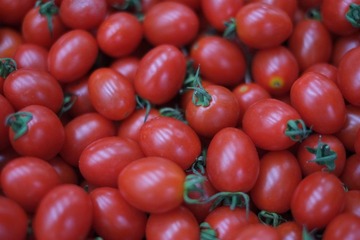 DSCF0036.JPG
