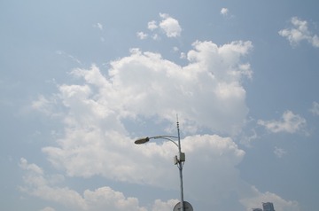 1204286