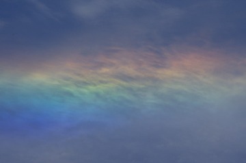 1191154