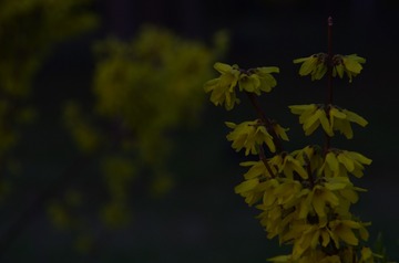 1159171