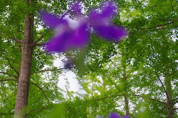 1204166