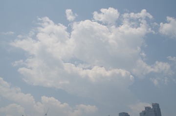 1204292