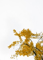 7E5C1553-E346-4F9E-A319-E8B0C5176D05/L0/001