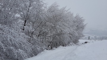 253764