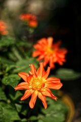 2E71150E-A7E7-4419-8F16-E29B3EE9B26B/L0/001