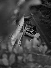 97447DF0-3C93-47D5-B01F-43C126CA1455/L0/001