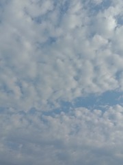 745815