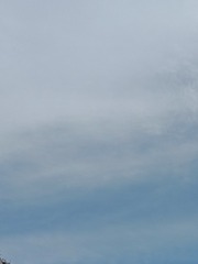 744445