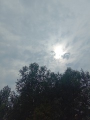 745842