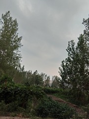 751030