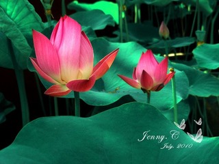 DSCN4075副本1.jpg
