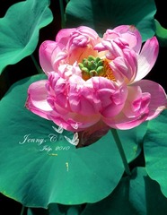DSCN4072副本1.jpg
