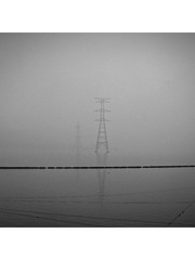1000114156