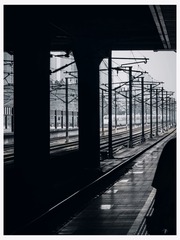 1000012116