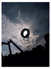 1000125353