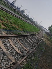3555800