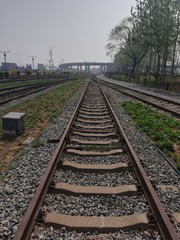 3555801