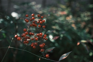 92101B07-B220-4B64-9279-B65D9210F3F1/L0/001