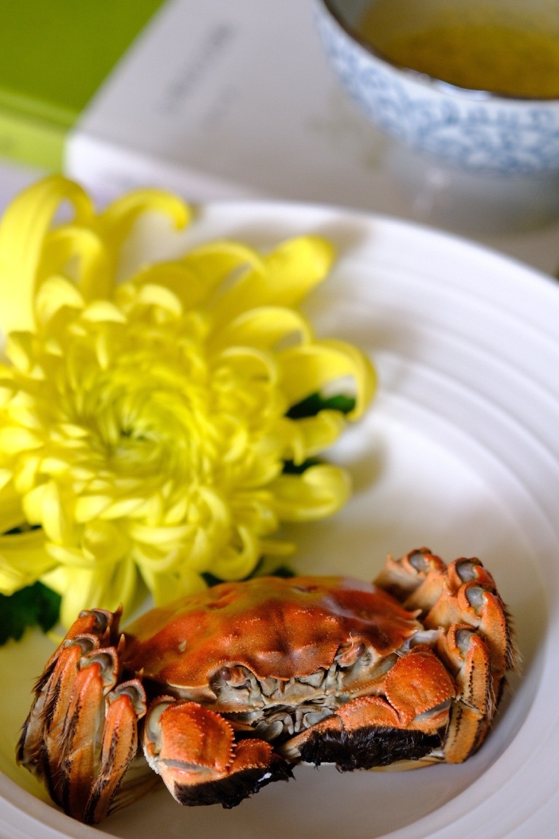 今日立冬秋天的告别仪式菊花蟹宴