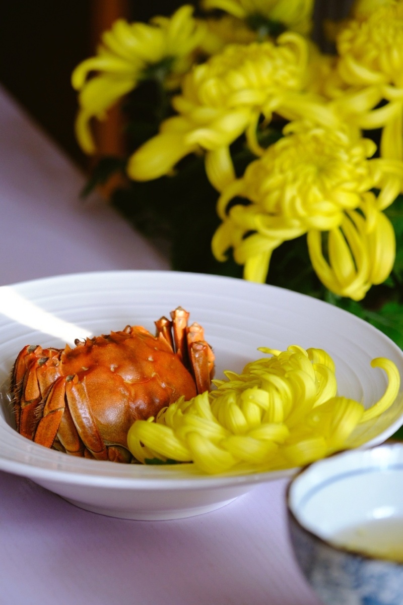 今日立冬秋天的告别仪式菊花蟹宴