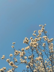 835E515C-4A2B-4E25-9875-FA44EF45F52D/L0/001