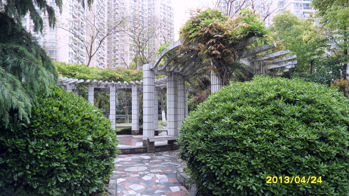 上海市洋泾菊园实验学校