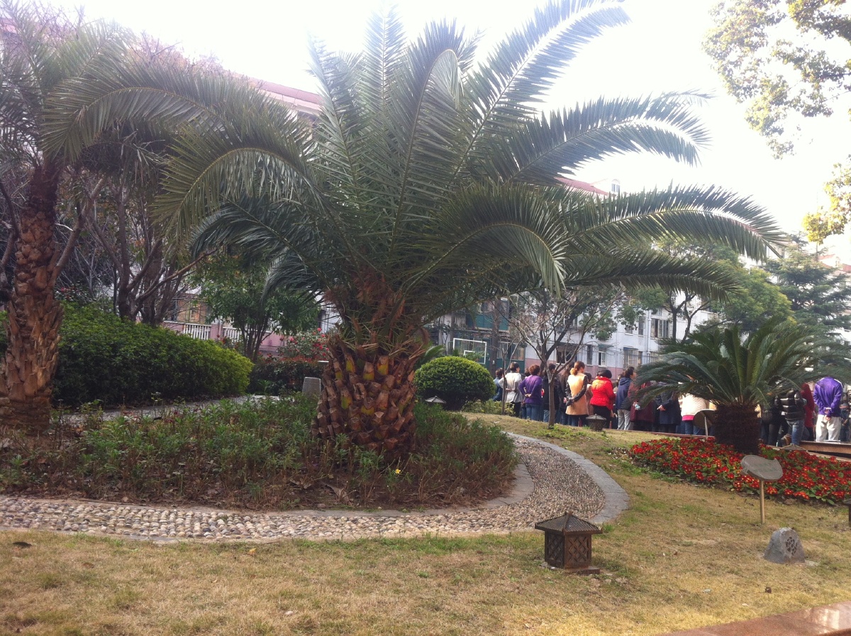 上海市大同初级中学