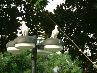 DSCF0156.JPG