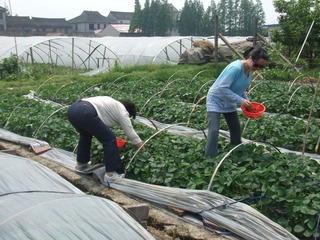 DSCF3457.jpg