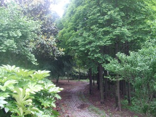 DSCF3540.JPG