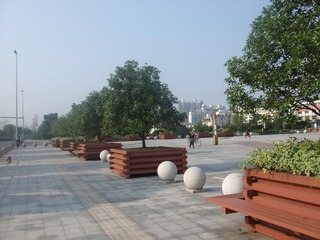 DSCF3555.jpg