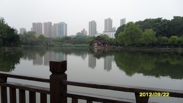 SAM_1087.JPG