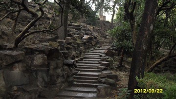 SAM_1103.JPG