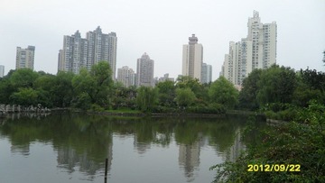 SAM_1101.JPG