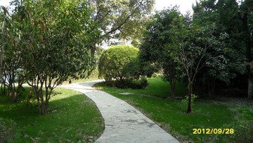 SAM_1235.JPG