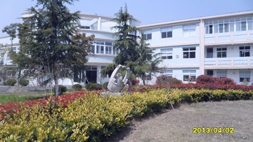 SAM_3091.JPG