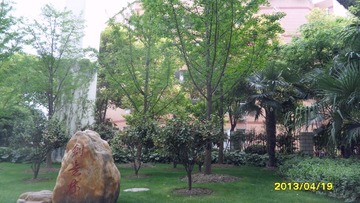 SAM_3228.JPG