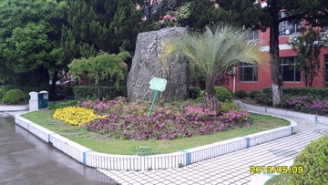 SAM_3458.JPG