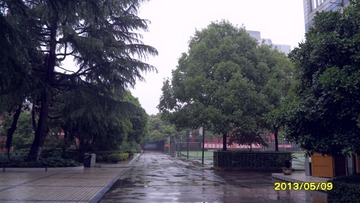 SAM_3473.JPG