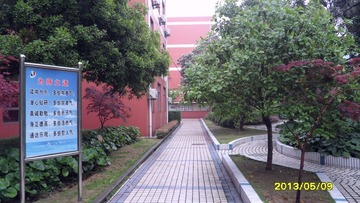 SAM_3474.JPG