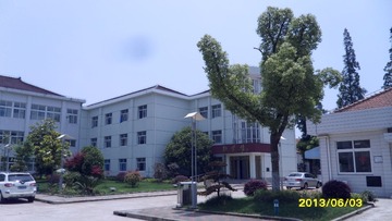 SAM_3806.JPG
